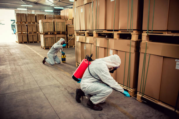 Best Mosquito Control Services  in West Bay Shore, NY