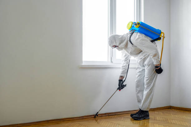 Best Commercial Pest Control Services  in West Bay Shore, NY