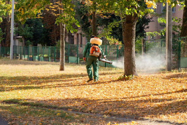 Flea Control Services in West Bay Shore, NY