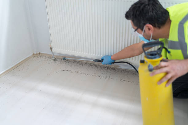 Best Affordable Pest Control Services  in West Bay Shore, NY