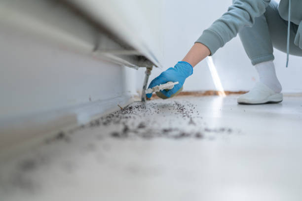 Best Pest Prevention Services  in West Bay Shore, NY